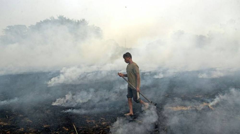 Pollution : la capitale indienne asphyxiée ferme ses écoles