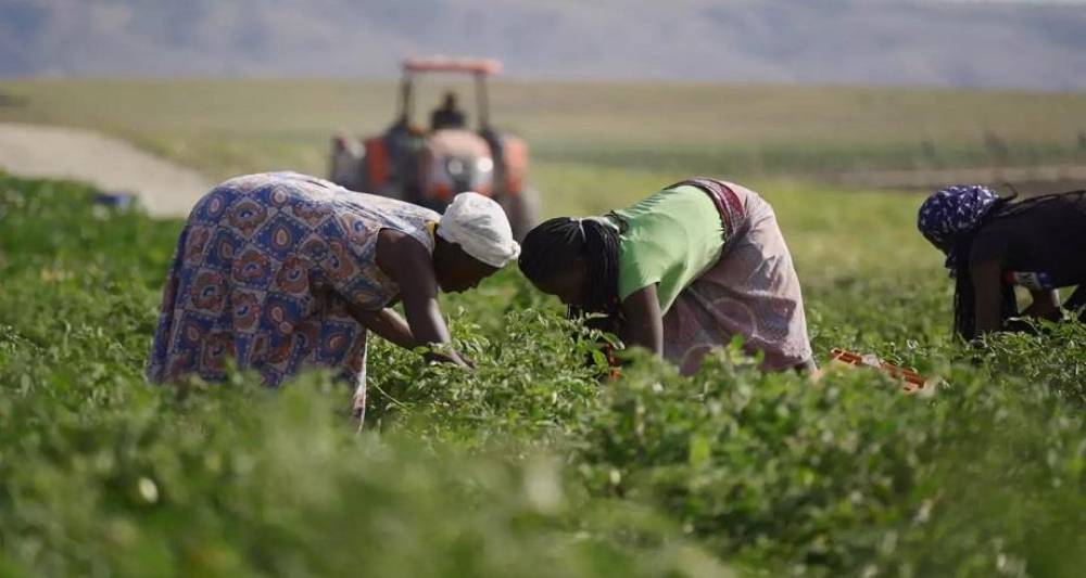 L’Angola débloque 3 milliards $ pour développer l'agriculture