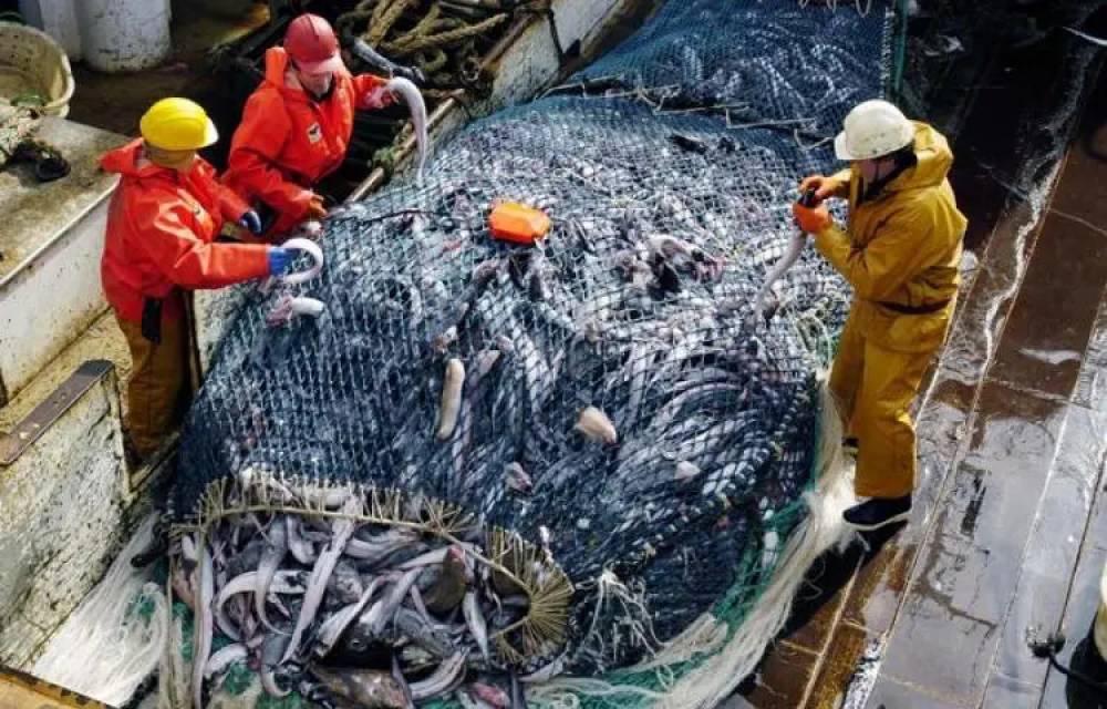 La Commission générale des pêches pour la Méditerranée décerne le Prix de conformité au Prix