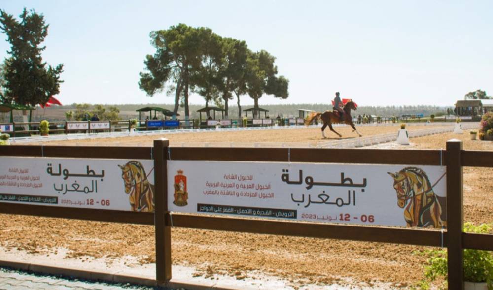 Championnat du Maroc de dressage (chevaux de 4 ans): le lieutenant Adam Rharbal s'adjuge le titre