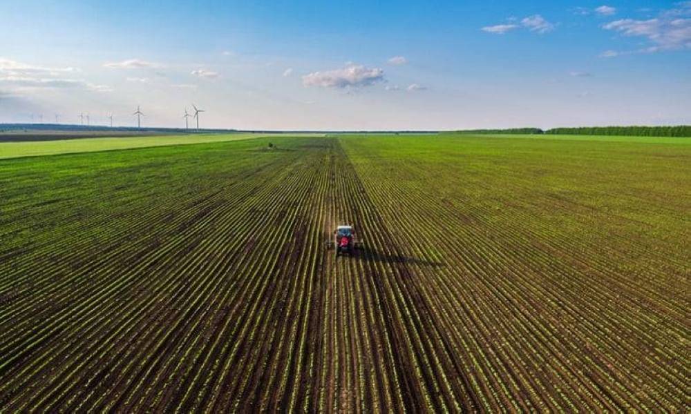 Guelmim-Oued Noun : Plus de 40.000 ha de céréales à cultiver en 2023 et 2024