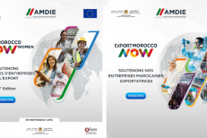 L’AMDIE lance une nouvelle campagne de sélection des candidatures à ses deux programmes d’accompagnement à l’export