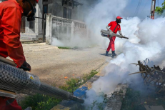 France: l'épidémie de dengue est déclarée en Guadeloupe