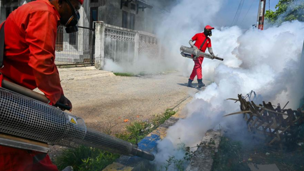 France: l'épidémie de dengue est déclarée en Guadeloupe