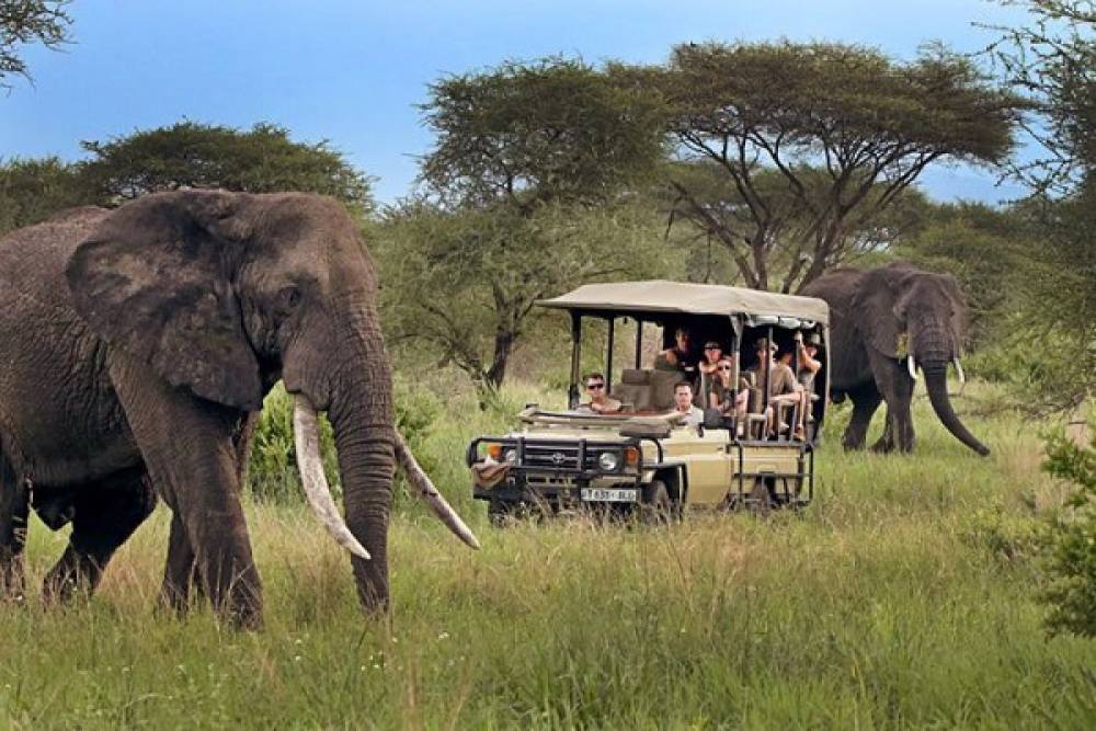 World Travel Awards 2024 : Voici la meilleure destination mondiale pour les safaris