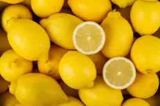 Citrons marocains : plus de 1.000t exportées vers le Royaume-Uni