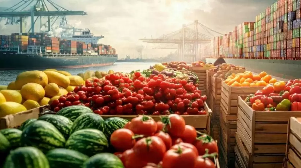 Fruits et légumes : le Maroc double ses exportations en volume et multiplie leur valeur par cinq en 20 ans