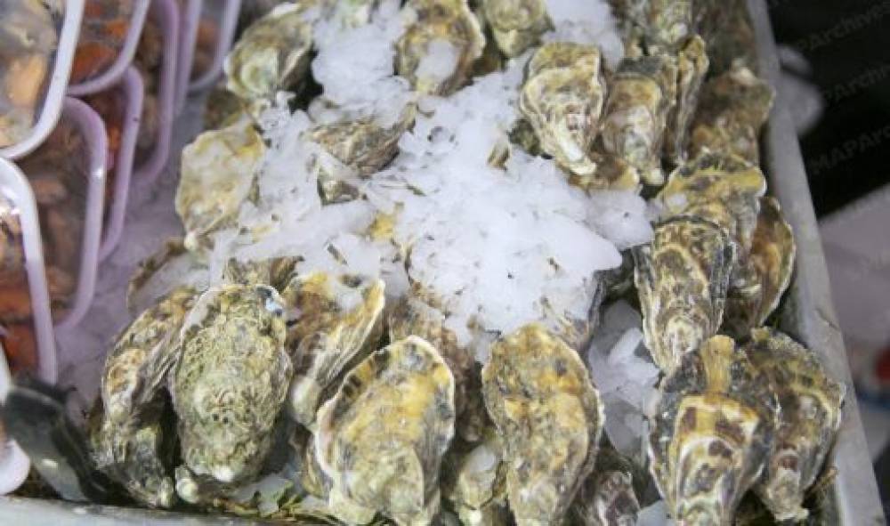 Tiznit : interdiction de la récolte et de la commercialisation des produits conchylicoles issus de Sidi Boulfdail (secrétariat d’État)