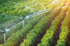 Maroc–Japon : Un prêt de 3,9 Mds de DH pour l’aménagement hydro-agricole du Gharb