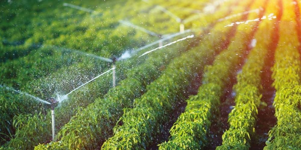 Maroc–Japon : Un prêt de 3,9 Mds de DH pour l’aménagement hydro-agricole du Gharb