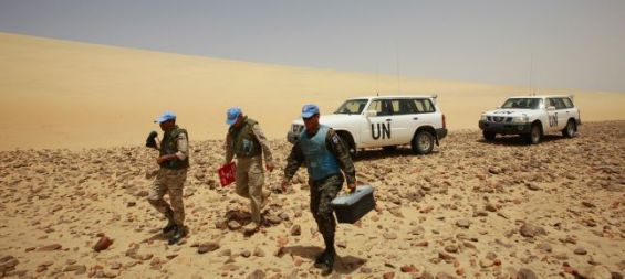 Sahara et Tindouf : Amnesty appelle à doter la MINURSO de mécanisme de surveillance des droits humains