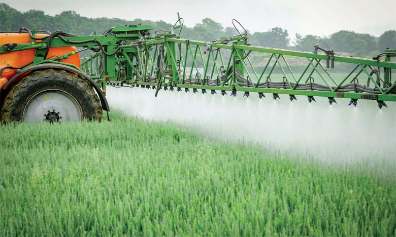 Agriculture sans glyphosate : La stratégie avant-gardiste des Domaines Agricoles