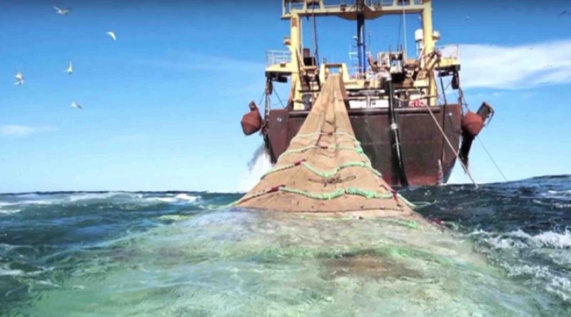 Le Maroc interdit la pêche au chalut de fond en Méditerranée