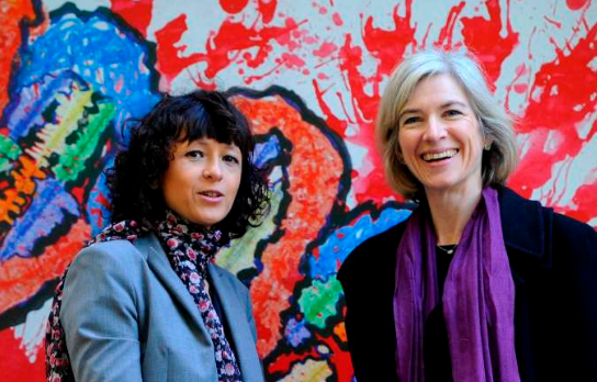Le prix Nobel de chimie décerné à la Française Emmanuelle Charpentier et l’Américaine Jennifer Doudna pour les « ciseaux moléculaires »