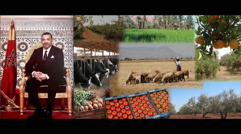 Terres collectives et développement rural, une priorité du roi Mohammed VI