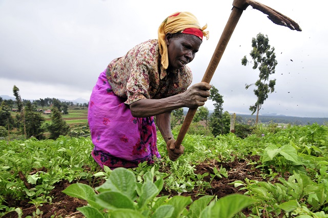 Engrais : OCP Africa et la BAD mobilisent 4 millions de dollars
