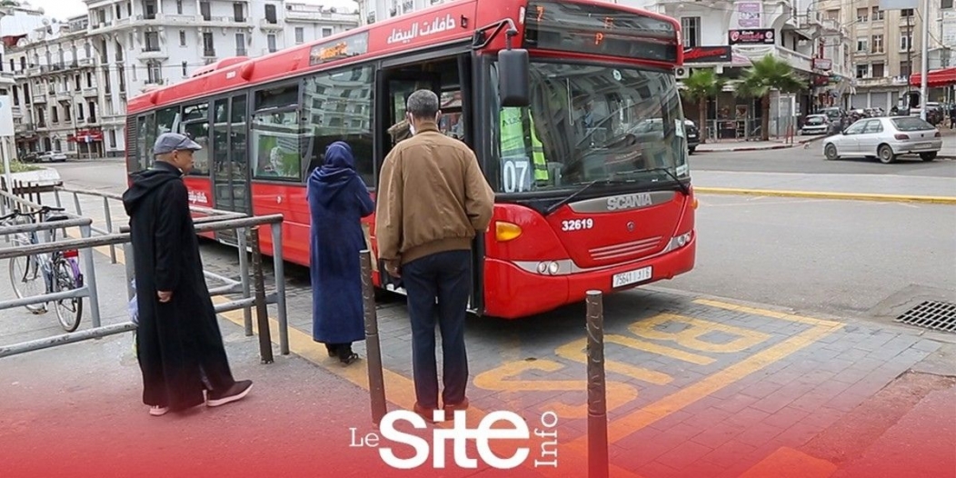 Casablanca: plusieurs lignes de bus à l’arrêt
