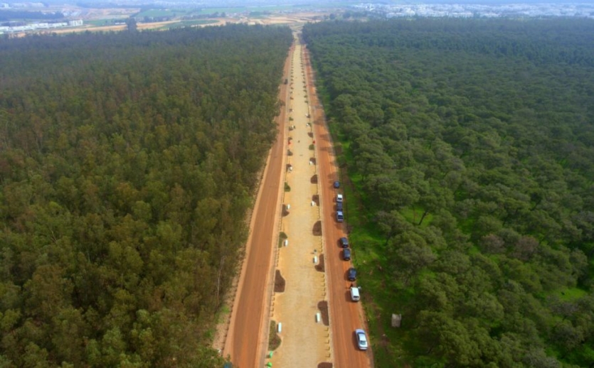 Forêt de Bouskoura : Éclaircissements relatifs aux travaux de traitement des arbres