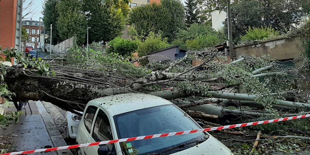 Le nord de la France balayé par la tempête Aurore