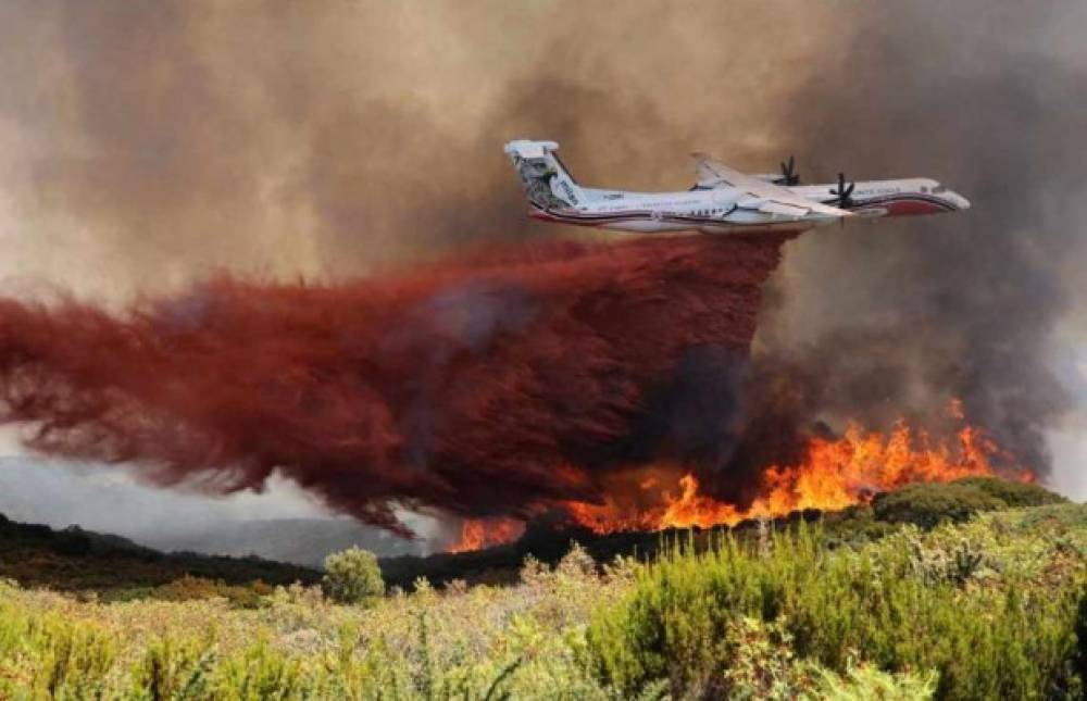 L’Algérie Prévoit De Fabriquer Des Drones De Lutte Contre Les Incendies