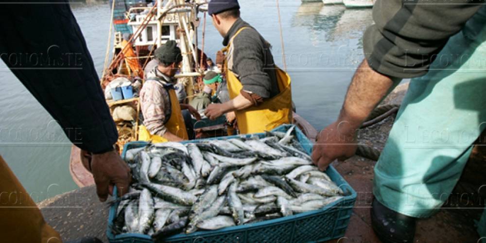 Pêche: Hausse de la valeur des produits commercialisés