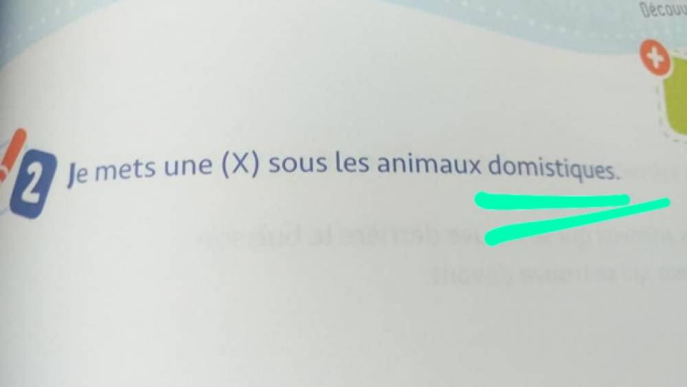 De très choquantes coquilles : le manuel d'initiation au français pour les maternelles est truffé de fautes d’orthographe