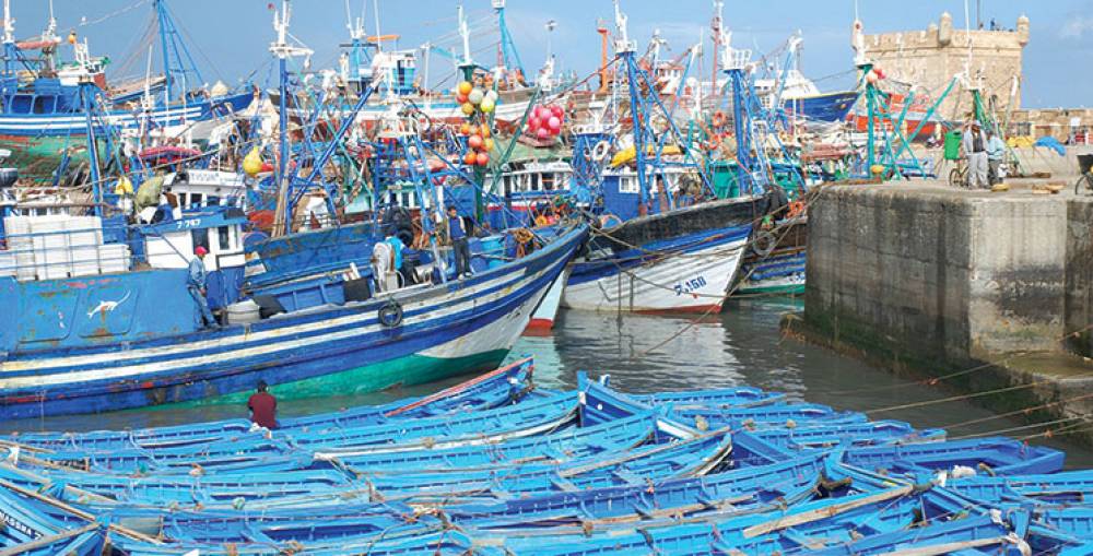 Pêche artisanale : 2 MDH pour soutenir les coopératives et jeunes entrepreneurs de Souss-Massa