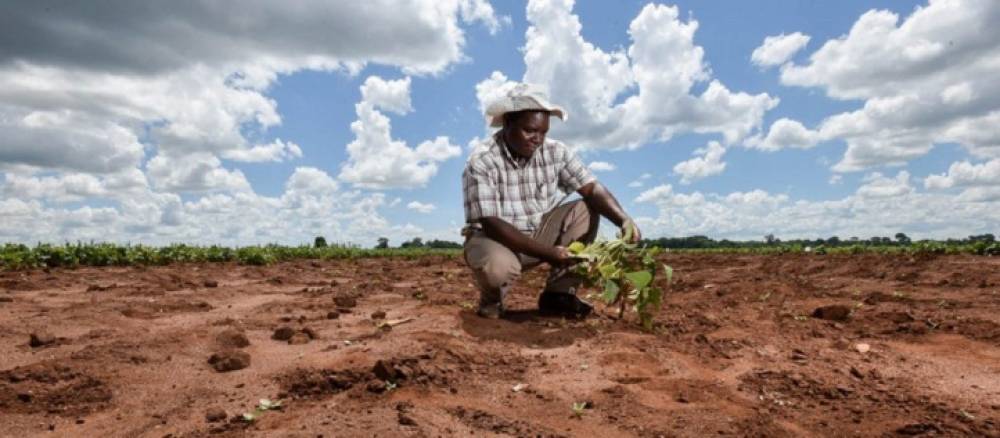 ONU : Le réchauffement climatique menace la survie de millions d'Africains