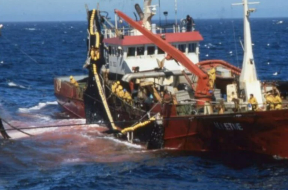 Accord de pêche: Les pêcheurs portugais s’élèvent contre l’arrêt du tribunal de l’UE