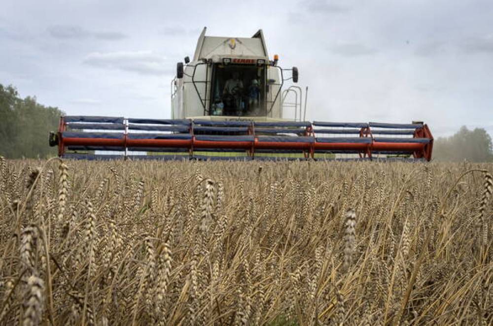 La Russie en contact avec plusieurs pays d’Afrique après la suspension de l’accord sur les céréales