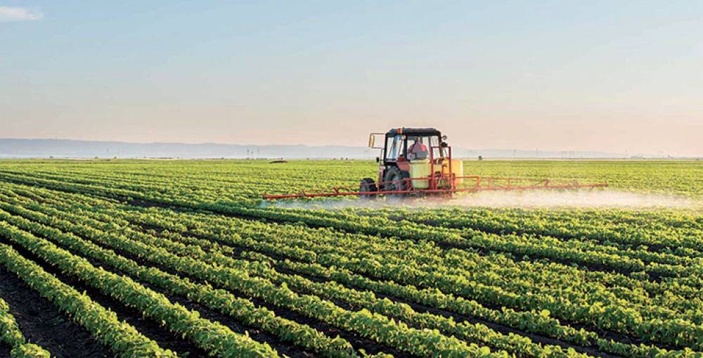 Campagne agricole 2022-2023 : Bonne performance de la filière arboricole