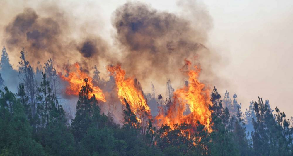 Bilan : 395 incendies de forêts enregistrées du 1er janvier au 5 octobre 2023