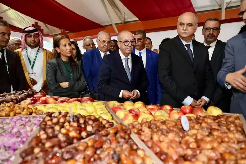 Production de dattes : 103.000 tonnes attendues pour la campagne 2024-2025