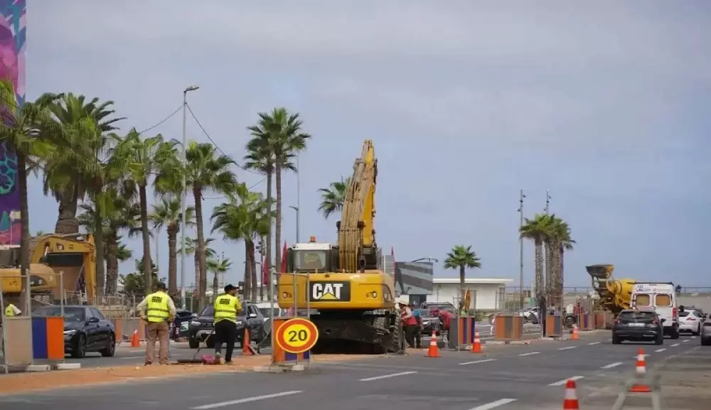 Mohamed Mhidia met fin à la plantation de palmiers à Casablanca