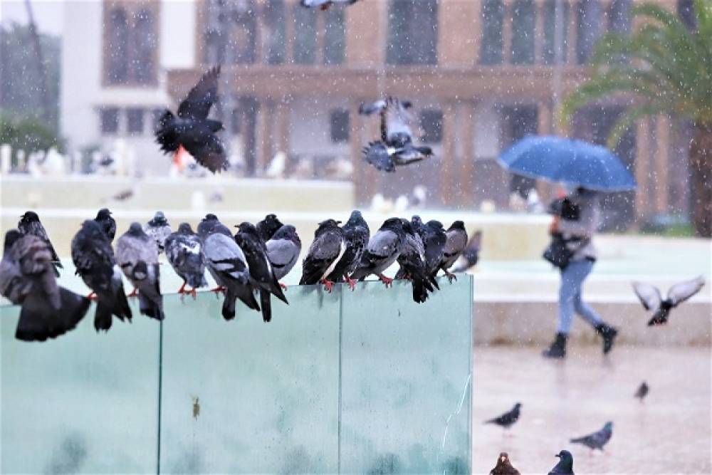 Alerte météo : Fortes pluies, chutes de neige et temps froid jusqu'à mercredi