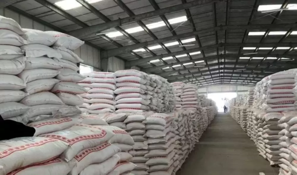 Polémique sur la farine mélangée au papier moulu : après la polémique, Touizi clarifie ses propos