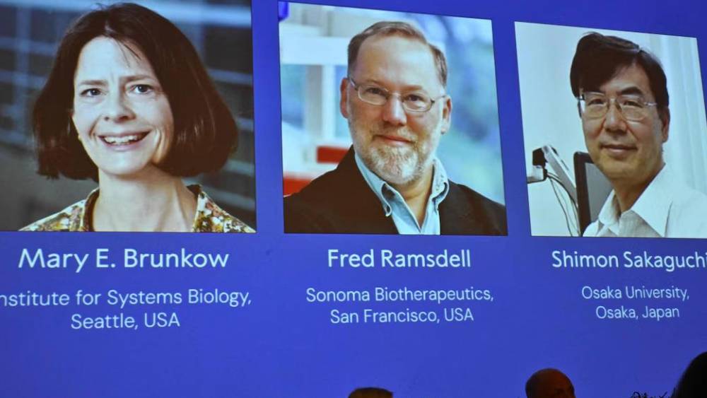 Le Nobel de médecine décerné aux Américains Mary E. Brunkow, Fred Ramsdell et au Japonais Shimon Sakaguchi