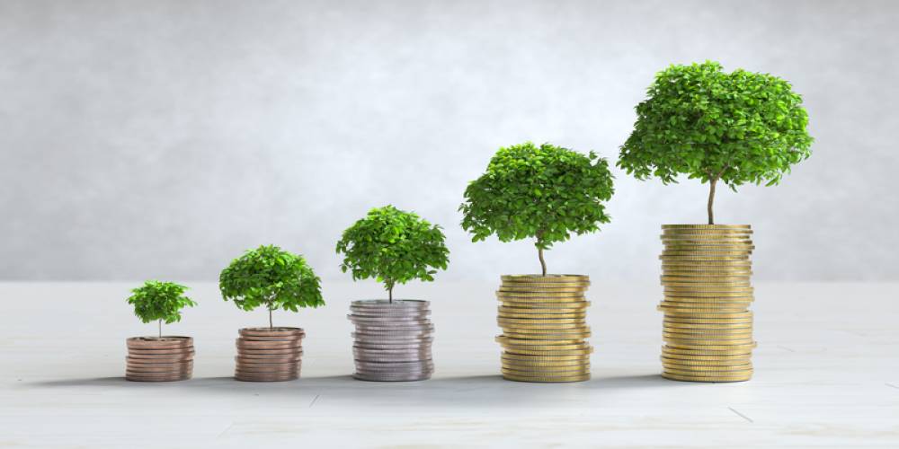 Commission nationale des investissements : 250 projets approuvés en neuf sessions