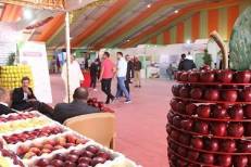 Le 5ème Salon national de la pomme, du 15 au 19 octobre à Midelt