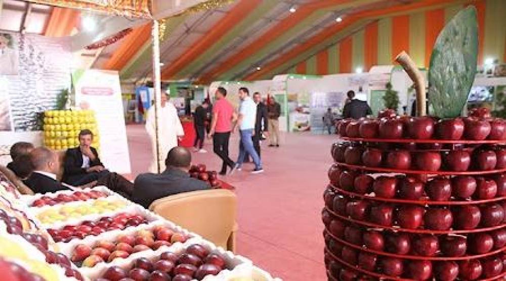 Le 5ème Salon national de la pomme, du 15 au 19 octobre à Midelt