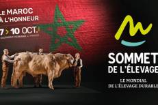 Sommet de l’élevage : Le Maroc, premier pays africain invité d’honneur
