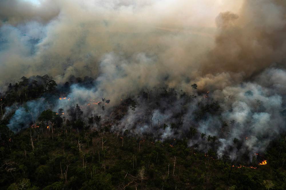 Amazonie : les incendies ont ravagé en 2024 une zone plus vaste que la Belgique