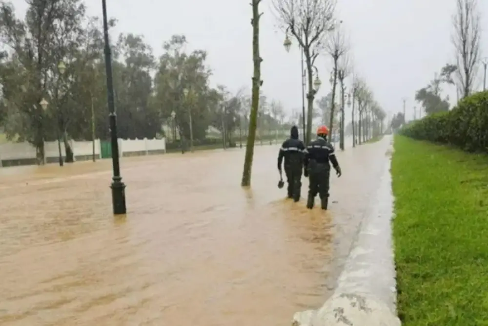 Catastrophes naturelles : le Maroc exposé à des pertes annuelles de 7,8 milliards de DH selon la BM