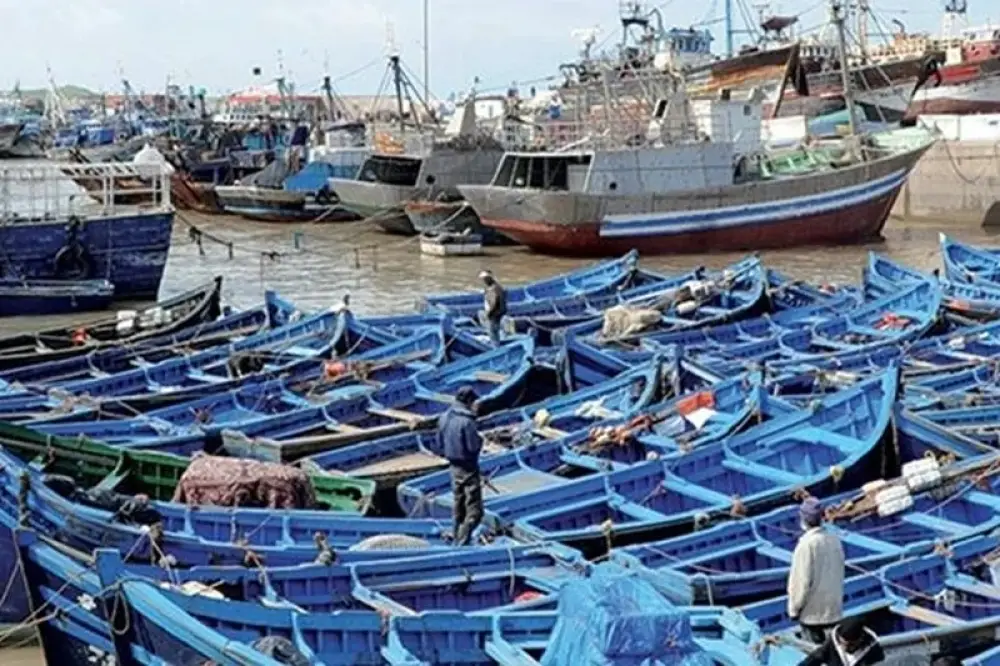 Pêche : La hausse du gasoil pousse plusieurs bateaux à l’arrêt, les professionnels interpellent El Mansouri