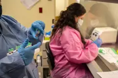 Belgique : 14 cas confirmés et 2 décès liés au virus du Nil occidental