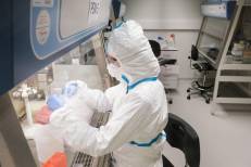 Décès dans un laboratoire anti-peste en Sibérie: risque « faible » pour la Russie, « très faible » pour l’Europe (OMS)