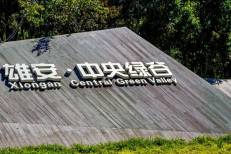 La Chine crée le Groupe national des données, une entreprise publique