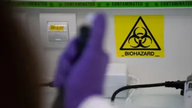 Le virus Shamonda détecté pour la première fois ch...