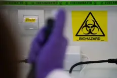 Le virus Shamonda détecté pour la première fois chez l’être humain en France