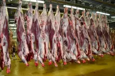 Le prix des viandes bovines en léger recul, la tomate en hausse à Casablanca